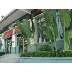 照片 泰国(Thailand) 芭提雅(Pattaya) 芭提雅二路(Pattaya Saisong) 2008-01 71