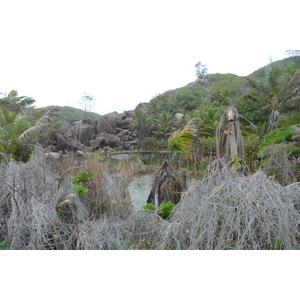 照片 塞舌尔(Seychelles) 拉迪格岛(La Digue) 2011-10 198