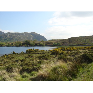 照片 爱尔兰(Ireland) 凯里郡(Kerry) 卡拉湖(Caragh Lake) 2004-05 23