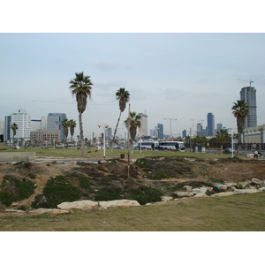 照片 以色列(Israel) 特拉维夫(Tel Aviv) 特拉维夫海岸(Tel Aviv Sea Shore) 2006-12 314