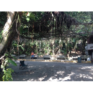 照片 哥斯达黎加(Costa Rica) 曼努埃尔安东尼奥(Manuel Antonio) 2015-03 332