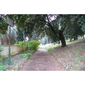 照片 意大利(Italy) 罗马(Rome) 多里亚·潘菲利别墅公园(Villa Doria Pamphili) 2007-11 55