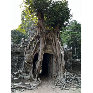 照片 柬埔寨(Cambodia) 暹粒(Siem Reap) 塔松寺(Ta Som) 2023-01 36