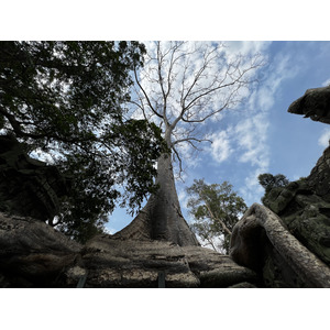 照片 柬埔寨(Cambodia) 暹粒(Siem Reap) 塔布茏寺(Ta Prohm) 2023-01 92