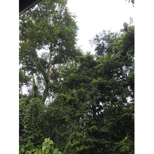 照片 哥斯达黎加(Costa Rica) 塔拉曼卡旧港(Puerto Viejo de Talamanca) 2015-03 131