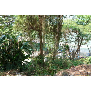 照片 泰国(Thailand) 芭提雅(Pattaya) 惬意海滩(Cosy Beach) 2011-01 54