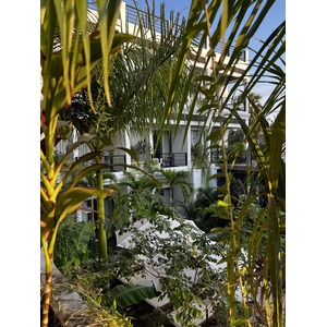 照片 柬埔寨(Cambodia) 暹粒(Siem Reap) 高棉之家精品酒店(Khmer House Boutique Hotel) 2023-01 35
