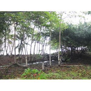 照片 哥斯达黎加(Costa Rica) 塔拉曼卡旧港(Puerto Viejo de Talamanca) 2015-03 23