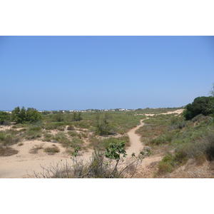 照片 以色列(Israel) 尼灿(Nitzan) 2007-06 15