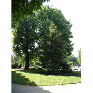 照片 法国(France) 巴黎(Paris) 香榭丽舍大街(Champs Elysees) 2007-05 21