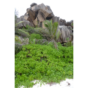 照片 塞舌尔(Seychelles) 2011-10 47