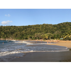照片 瓜德罗普(Guadeloupe) 珍珠海滩(La Perle Beach) 2021-02 11