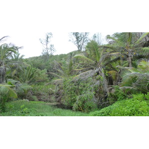 照片 塞舌尔(Seychelles) 拉迪格岛(La Digue) 2011-10 46