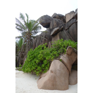照片 塞舌尔(Seychelles) 拉迪格岛(La Digue) 2011-10 209