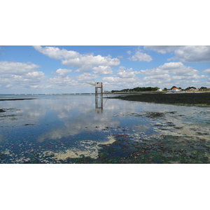 照片 法国(France) 普雷法耶(Prefailles) 圣吉尔达角至拉普雷(La pointe Saint Gildas to La Pree) 2007-08 59