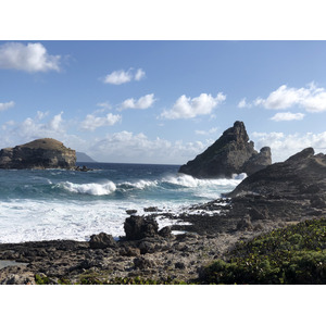 照片 瓜德罗普(Guadeloupe) 城堡角(Castle Point) 2021-02 351