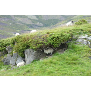 照片 英国(United Kingdom) 凯恩戈姆山国家公园(Cairngorms National Park) 2011-07 138