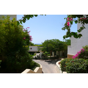 照片 埃及(Egypt) 沙姆沙伊赫(Sharm el Sheikh) 凯悦酒店(Hyatt Hotel) 2008-06 50