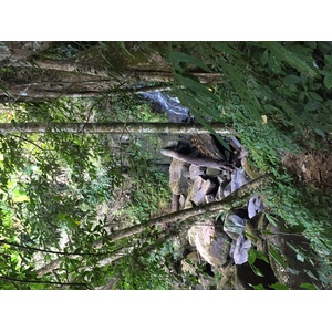 照片 泰国(Thailand) 普欣隆卡国家公园(Phu Hin Rong Kla National Park) 2014-12 206