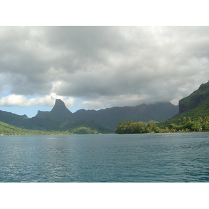 照片 波利尼西亚(Polynesia) 莫雷阿岛(Moorea) 2006-04 189