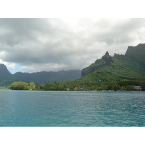 照片 波利尼西亚(Polynesia) 莫雷阿岛(Moorea) 2006-04 185