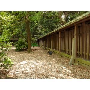 照片 日本(Japan) 东京(Tokyo) 代代木公园(Yoyogi Park) 2010-06 41