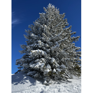 照片 法国(France) 梅杰夫(Megeve) 2022-02 11