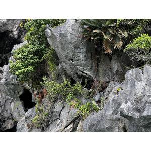 照片 泰国(Thailand) 甲米(Krabi) 2023-01 237