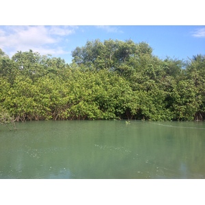 照片 哥斯达黎加(Costa Rica) 曼努埃尔安东尼奥(Manuel Antonio) 2015-03 347