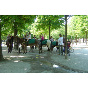 照片 法国(France) 巴黎(Paris) 杜乐丽花园(Garden of Tuileries) 2007-05 357