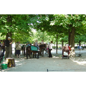 照片 法国(France) 巴黎(Paris) 杜乐丽花园(Garden of Tuileries) 2007-05 6