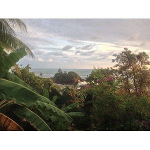 照片 哥斯达黎加(Costa Rica) 多米尼卡尔(Dominical) 2015-03 148