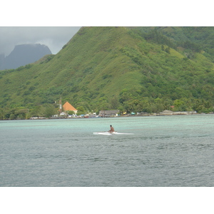 照片 波利尼西亚(Polynesia) 莫雷阿岛(Moorea) 2006-04 30