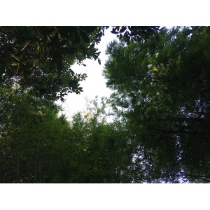 照片 泰国(Thailand) 普欣隆卡国家公园(Phu Hin Rong Kla National Park) 2014-12 161