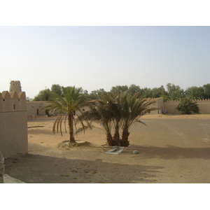 照片 阿联酋(United Arab Emirates) 艾因(Al Ain) 贾希利堡(Jahli Fort) 2005-03 27