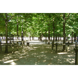 照片 法国(France) 巴黎(Paris) 杜乐丽花园(Garden of Tuileries) 2007-05 13