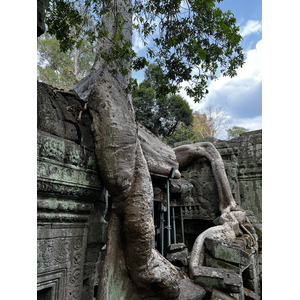 照片 柬埔寨(Cambodia) 暹粒(Siem Reap) 塔布茏寺(Ta Prohm) 2023-01 64