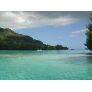 照片 波利尼西亚(Polynesia) 莫雷阿岛(Moorea) 2006-04 13