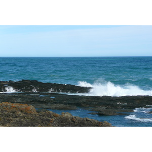 照片 南非(South Africa) 齐齐卡马国家公园(Tsitsikamma National Park) 2008-09 56