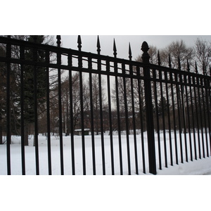 照片 俄罗斯(Russia) 莫斯科(Moscow) 莫斯科国立大学(Moscow State University) 2006-03 14
