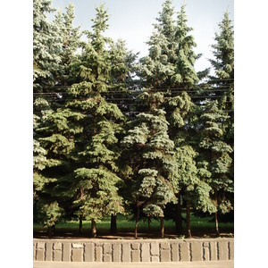 照片 俄罗斯(Russia) 下诺夫哥罗德(Nizhniy Novgorod) 2006-07 84