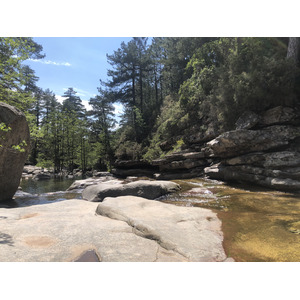 照片 法国(France) 科西嘉岛(Corsica) 艾托内森林(Aitone Forest) 2021-06 57