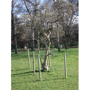 照片 法国(France) 巴黎(Paris) 蒙索公园(Monceau Garden) 2006-03 40