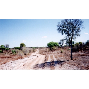 照片 马达加斯加(Madagascar) 1999-10 2
