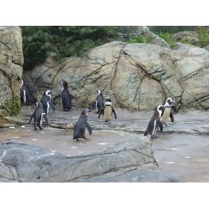 照片 法国(France) 勒克鲁瓦西克(Le Croisic) 海洋馆(Ocearium) 2009-10 0