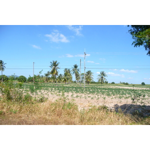 照片 泰国(Thailand) 芭提雅至沙美岛公路(Pattaya to Ko Samet road) 2008-12 71