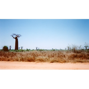 照片 马达加斯加(Madagascar) 黥基(Tsingy) 1999-10 18