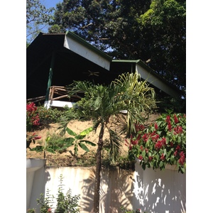 照片 哥斯达黎加(Costa Rica) 曼努埃尔安东尼奥(Manuel Antonio) 2015-03 256