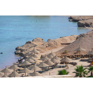 照片 埃及(Egypt) 沙姆沙伊赫(Sharm el Sheikh) 凯悦酒店(Hyatt Hotel) 沙姆沙伊赫凯悦海滩(Hyatt Sharm el Sheikh Beach) 2008-06 49
