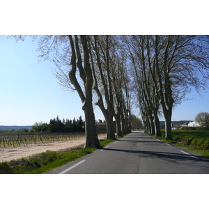 照片 法国(France) 普罗旺斯(Provence) 前往阿莱斯的公路(road to Ales) 2008-04 10